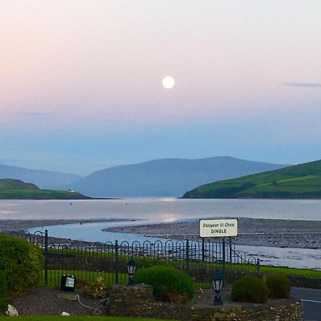 Coastline House Bed and Breakfast Dingle Eksteriør billede